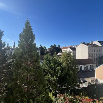 Schöne 4,5 Zimmer Altbau-Villenetage mit Wintergarten, Gartennutzung und kleinem KFZ-Stellplatz - Bild 2