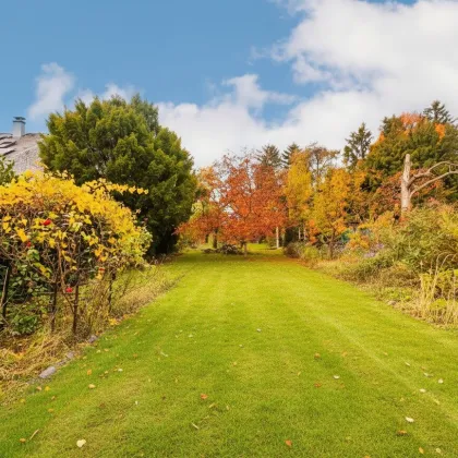 Gut geschnittenes Grundstück mit Abbruch-Villa - Bild 2