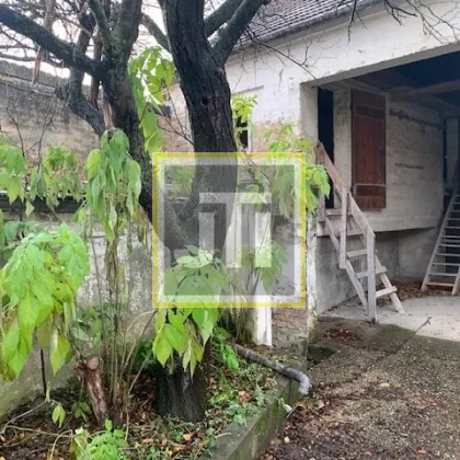 Traumhaft gelegenes Grundstück mit Bestandsgebäude Nähe Wolkersdorf in aboluter Ruhelage - Bild 2