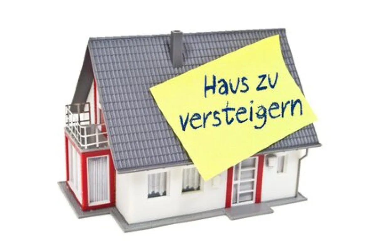 +ZWANGSVERSTEIGERUNG am 12. November 2025 - Zwei separate Liegenschaften in der Hinterbrühel zu versteigern!+ - Bild 1