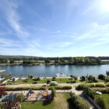 ERSTBEZUG MIT BADESTEG AM WASSER: Ruhelage mit Fernblick über die Donau I großzügige Terrassen & geräumige Wohnküche - Bild 2
