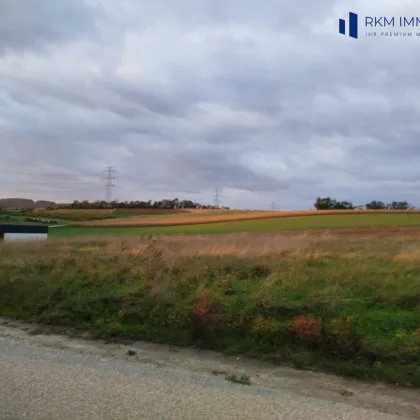 Traumhaftes Baugrundstück in Tresdorf – Ihr Eigenheim auf 782 m² wartet! 391.000 € - Bild 2