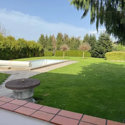 Vermietete Wohnung und Büroräumlichkeiten inkl. Garagen + Swimmingpool - Bild 2