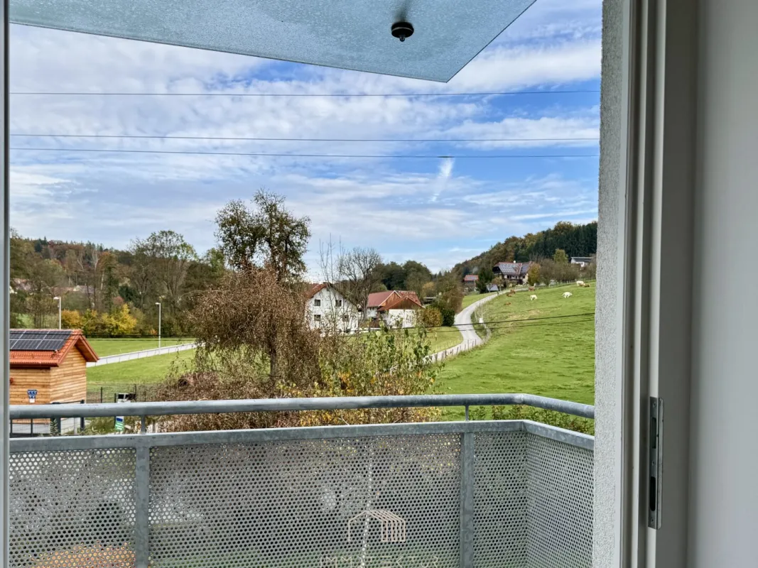 NATURVERBUNDEN: Sonnige 4-Zimmer-Wohnung mit 4 Balkonen und Parkplatz - Bild 1