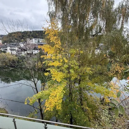 Wohnhaus - Waidhofen an der Ybbs - Bild 2