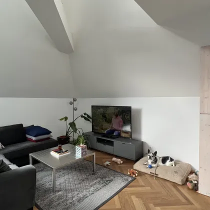 # SQ - MODERN LIVING - MODERNE DG WOHNUNG IN JOSEFSTADT --- LEDERERGASSE - 1080 WIEN - Bild 3