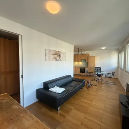 Lindengasse - 2 Zimmer Neubau mit Garage zu vermieten - Bild 2