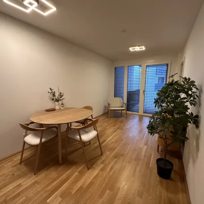 Moderne 2-Zimmer-Wohnung mit Balkon nahe U1 - Bild 3