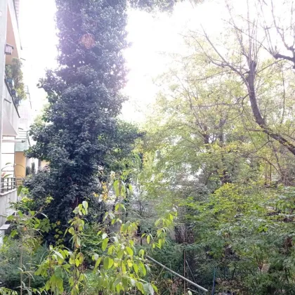 HOFRUHELAGE ! sonnige 2 Zimmerwohnung – Nähe Hohe Warte zu vermieten! - Bild 2