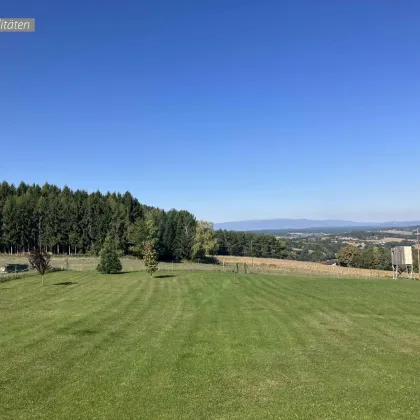 Skandinavisches Blockhaus mit Galerie, Kamin und großem Grundstück mit Fernblick - Bild 3