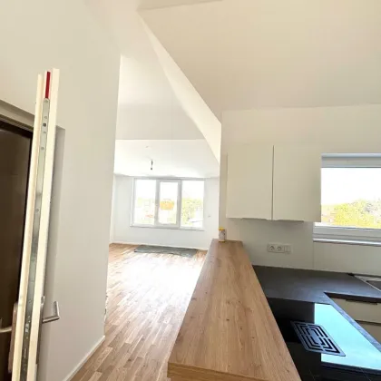 WOHNUNG MIT VIER TERRASSEN - Bild 2