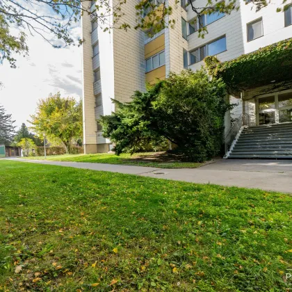 REDUZIERTER VERKAUFSPREIS+++NEU in Korneuburg++ Großzügige 4-Zimmer Neubauwohnung mit Loggia ( WNF ca. 98m2), nähe Bahnhof ++Ihr SONNIGES Zuhause++ 2100 Korneuburg - Bild 2