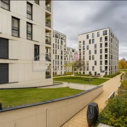 Moderne 2 Zimmer  Wohnung mit Garage inkludiert - urbanes Wohnen im grünen Neubauviertel beim Rudolf - Bernar - Park - Bild 2