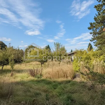 🌿 Wunderschönes Grundstück in bester Lage – vielseitig bebaubar mit zwei Wohneinheiten - Bild 3