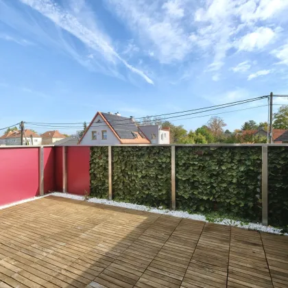 Moderne 3-Zimmer-Wohnung mit zwei Terrassen und optionalem Garagenplatz – Nähe Schnellbahn Süßenbrunn - Bild 2