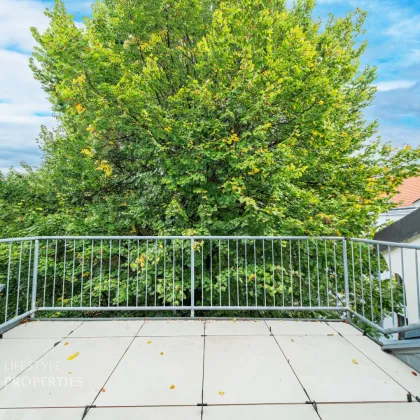 Heller 3-Zimmer Erstbezug mit Terrasse, Nähe Kutschkermarkt - Bild 3