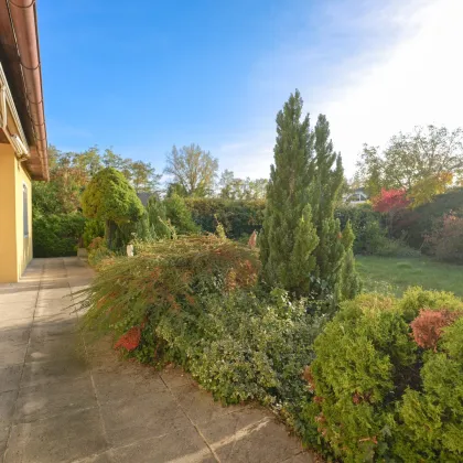 Charmanter Bungalow mit Renovierungsbedarf in Wels - Bild 2