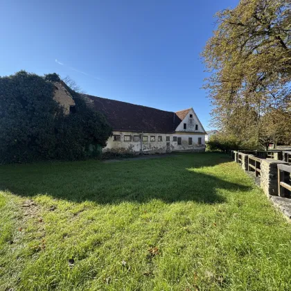 Ehemaliger Bauernhof mit Charme – ideal für Visionäre und Handwerker, sanierungsbedürftig! - Bild 3