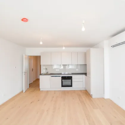 Erstbezug nach Sanierung: Charmante 2-Zimmer-Dachgeschoßwohnung mit Top-Lage - Bild 3