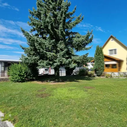 Bungalow mit großem Grund – ideal für Familien in Wilhelmsburg - Bild 2