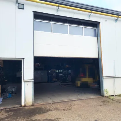 Gewerbe- und Lagerhalle zu MIETEN! - Bild 3