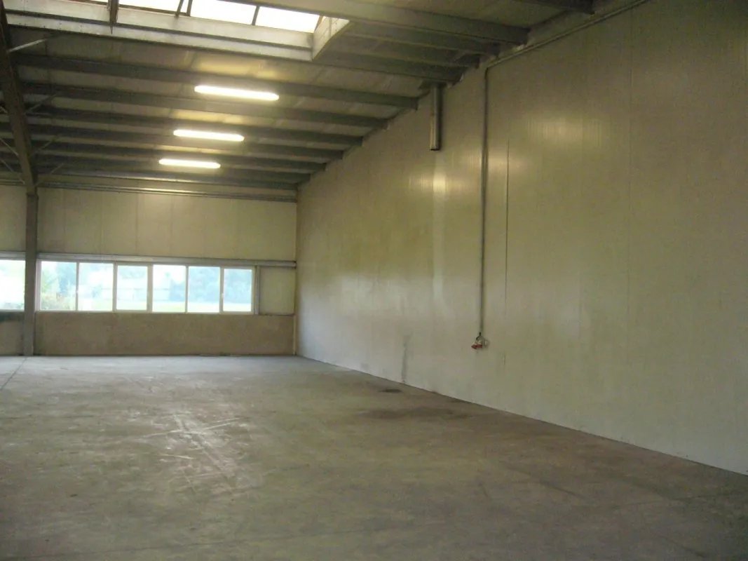 Gewerbe- und Lagerhalle zu MIETEN! - Bild 1
