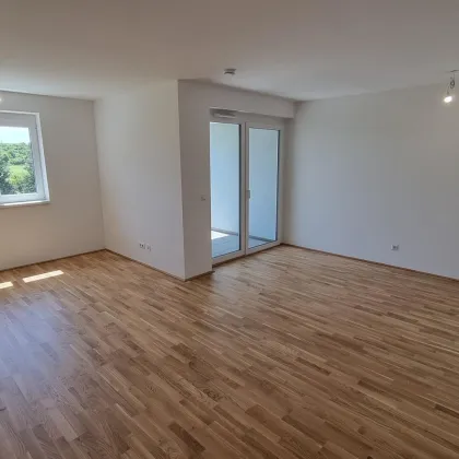 unbefristete 3-Zimmer-Neubau-Mietwohnung mit Balkon & Kaufoption - Bild 2