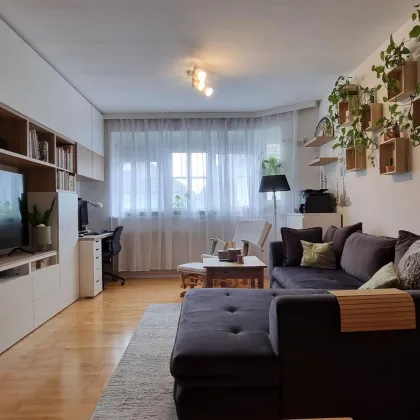Gemütliches Zuhause mit 2 Zimmern & Tiefgaragenplatz – Nähe Mühlbach - Bild 2