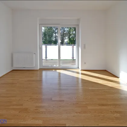 2000 Stockerau, Top 11, zwei zentrale sonnige Zimmer, Einbauküche, Südbalkon, Ruhelage, 2. Liftstock, Miete: € 950,-- - Bild 2
