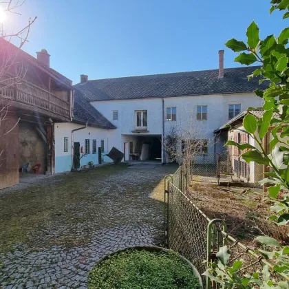 Großzügiges Mehrfamilienhaus mit viel Potenzial - Bild 2