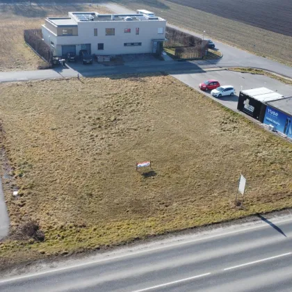 Attraktives Pachtgrundstück in Pottenbrunn – ideal für Gewerbe oder Lager - Bild 2
