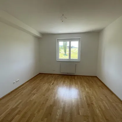 Moderne 3 Zimmerwohnung mit Balkon in Kirnberg an der Mank - Bild 3