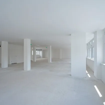 Erstbezug: Moderne Bürofläche in Hietzinger Bestlage - Bild 3