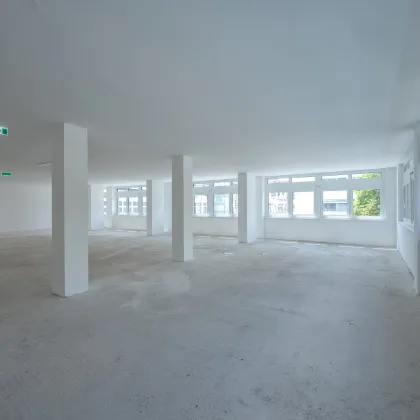 Erstbezug: Moderne Bürofläche in Hietzinger Bestlage - Bild 2