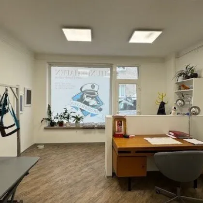NOVARAGASSE: (PROVISIONSFREI) Geschäftsübernahme Hundesalon „HUNDEHAFEN“ (inkl. Kundenstock) - Bild 2