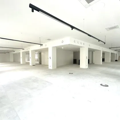 ERSTBEZUG | Hochwertiges Büro samt Freifläche auf der Mariahilfer Straße - Bild 3