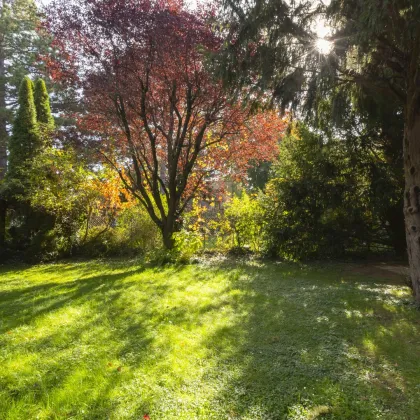 Hochheimgasse - repräsentatives Einfamilienhaus mit Garten zu vermieten - Bild 3