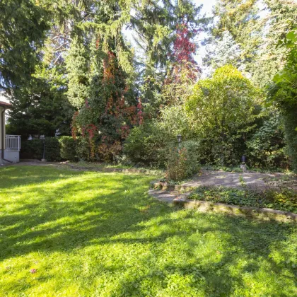Hochheimgasse - repräsentatives Einfamilienhaus mit Garten zu vermieten - Bild 2