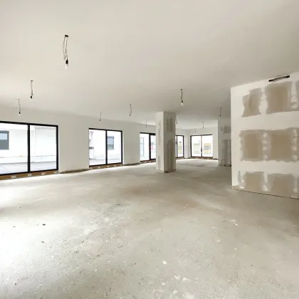 Ihr neues Büro im Karmeliterhof zwischen Rathausplatz und Julius-Raab-Promenade! - Bild 3