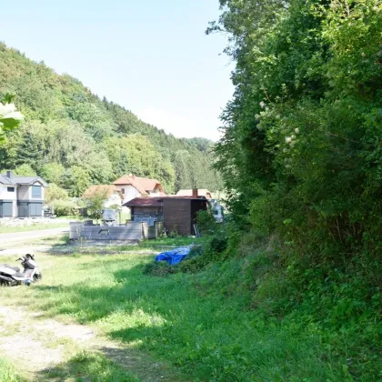 Grundstück im Grünen mit Holzhaus ohne Bauzwang - Bild 2
