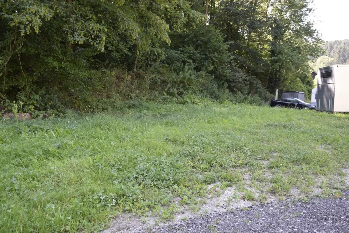 Grundstück im Grünen mit Holzhaus ohne Bauzwang - Bild 1