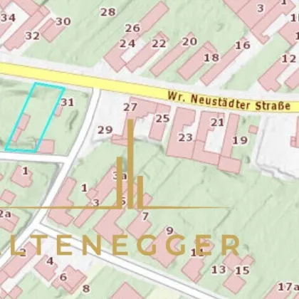 Ebenes Grundstück im Pannonischem Klima - Bild 2