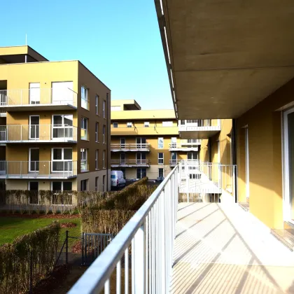 Genießen Sie herrliche Sommertage in Ihrem idyllischen Eigenarten - viele weitere Wohnungen auch mit Balkon verfügbar! - Bild 2