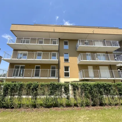 Wohnen auf höchstem Niveau – 4-Zimmer-Neubauwohnung mit SONNENBALKON! Erstbezug – provisionsfrei! - Bild 2