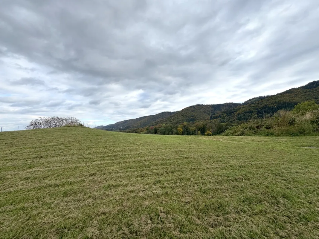 Ruhige Toplage mit sensationellem Panoramablick nahe Arnfels – Hardegg, ein Naturjuwel für Genießer, Familien & Investoren! - Bild 1