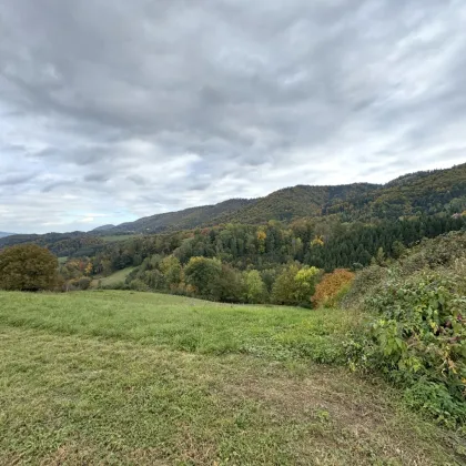 Ruhige Toplage mit sensationellem Panoramablick nahe Arnfels – Hardegg, ein Naturjuwel für Genießer, Familien & Investoren! - Bild 2