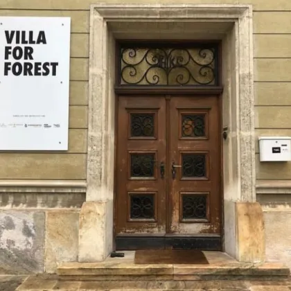 Villa For Forest – Historische Stadtvilla am Ring mit Entwicklungspotenzial - Bild 3