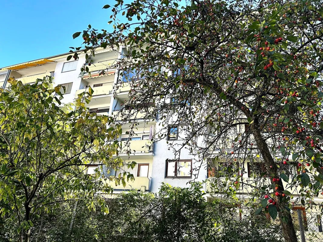 Attraktive  2,5 Zimmer Wohnung Höttinger Au - Bild 1