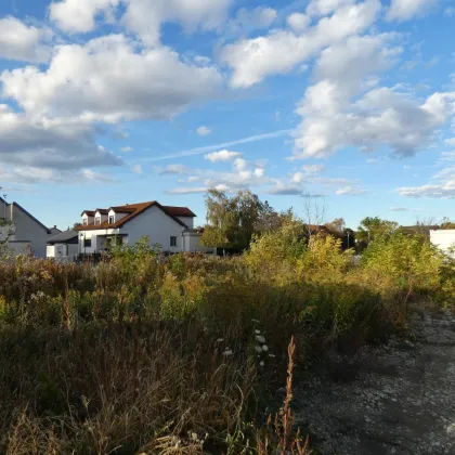 NATURNAHER BAUGRUND KINDERFREUNDLICH - Bild 2