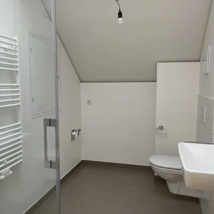 AMHÖTTLGRUND: 2-ZIMMER-WOHNUNG IM DG - Bild 3